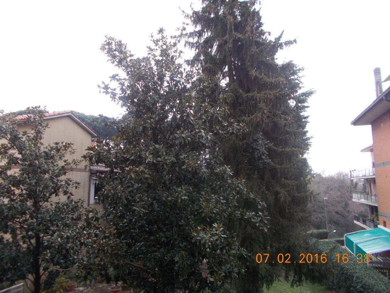 Appartamento I Cedri San Cesareo Exterior foto